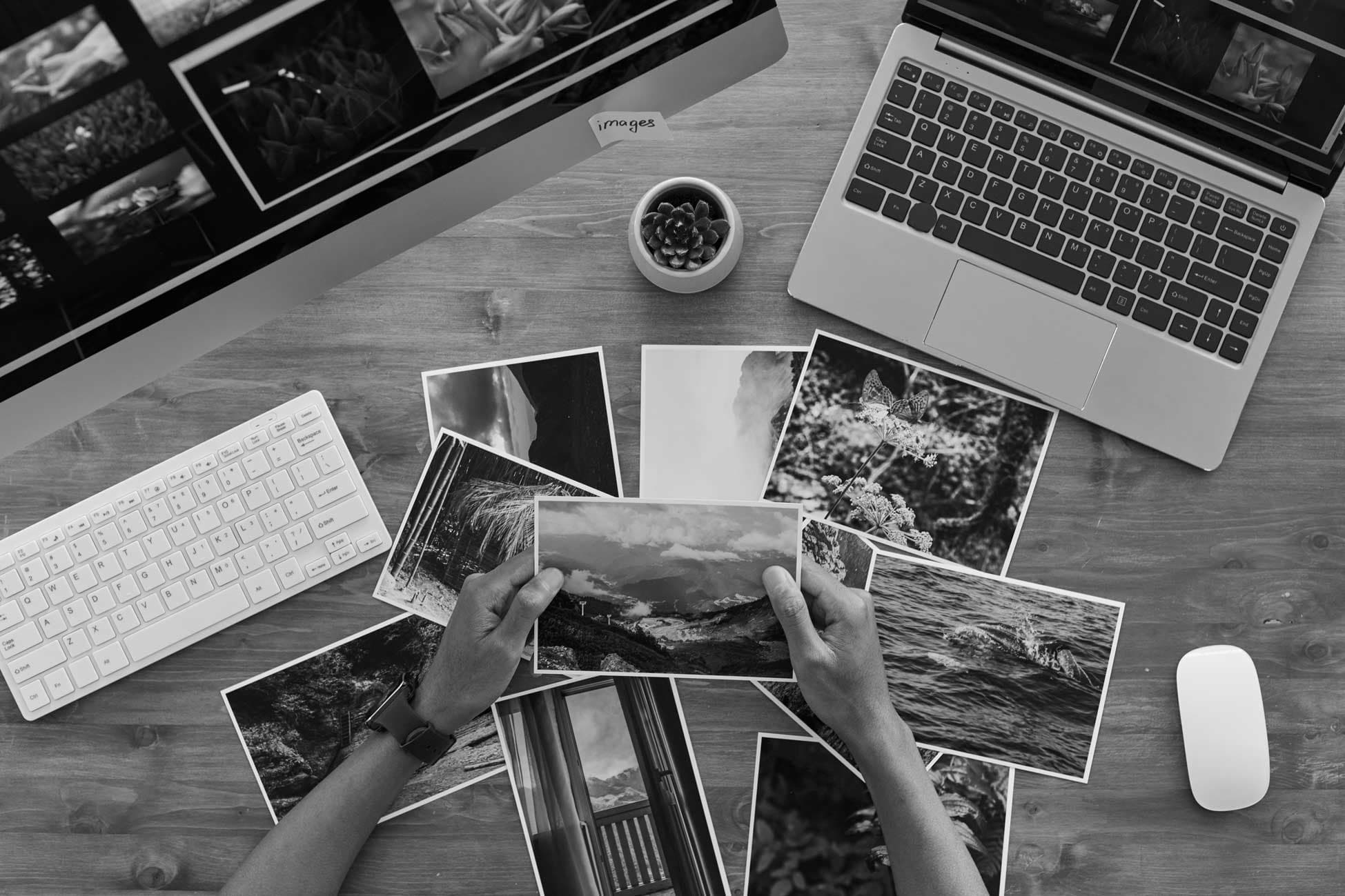 Prestations photographe Alexandre LEMAIRE